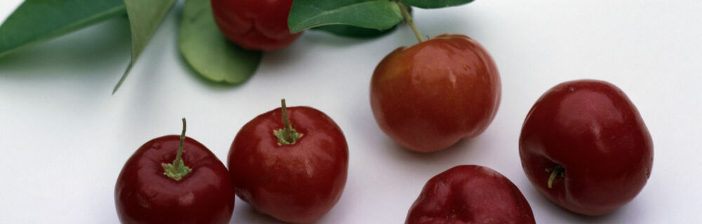 Acerolasaft Acerolasaft