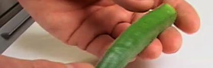 Okraschoten und ihre Verwendungsmöglichkeiten Okraschoten und ihre Verwendungsmöglichkeiten