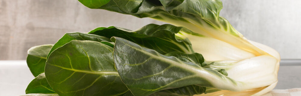 Frischer Mangold - Mangold Lebensmittel-Warekunde Küchengötter Mangold Lebensmittel-Warenkunde