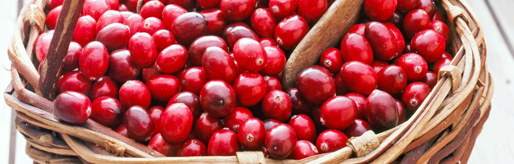 Cranberries Cranberries