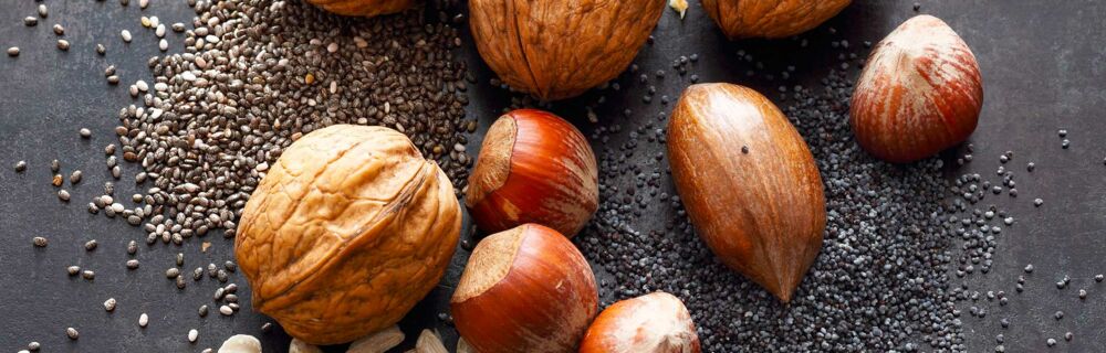 Nüsse und Samen Paleo Diät Nüsse und Samen Paleo Diät