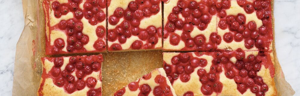 Joghurt-Johannisbeer-Kuchen Joghurt-Johannisbeer-Kuchen