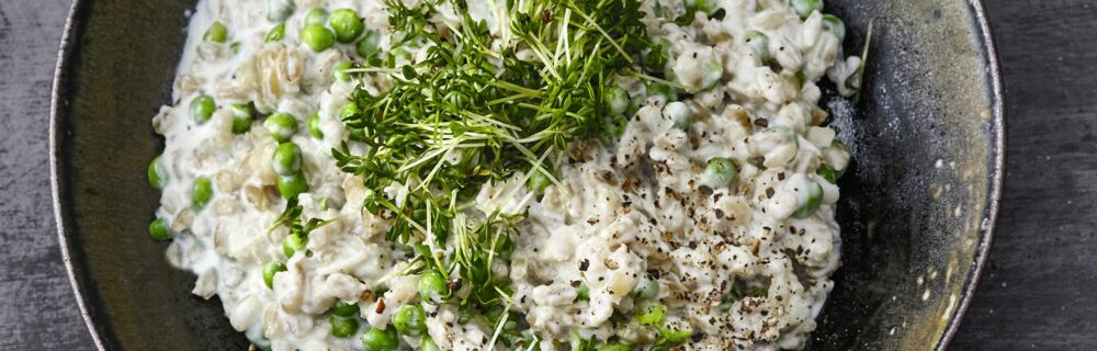 Gerstengraupen-Risotto Gerstengraupen-Risotto