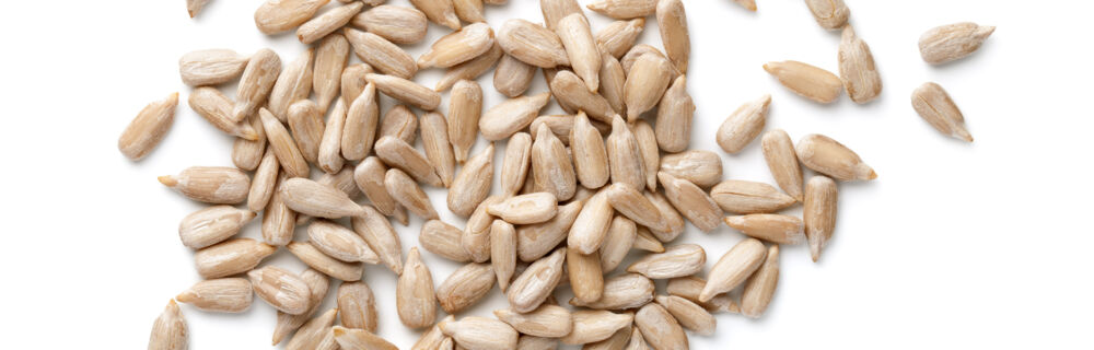 Sonnenblumenkerne Sonnenblumenkerne