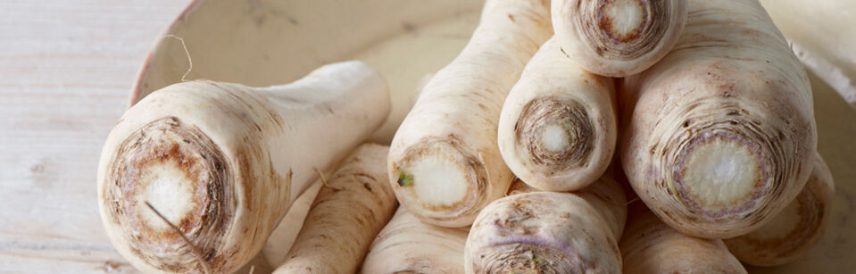 Pastinaken Pastinaken