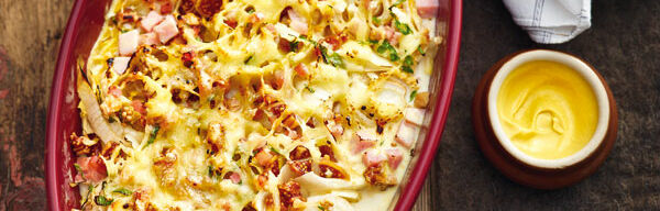 Chicoréegratin mit Senfsahne Chicoréegratin mit Senfsahne