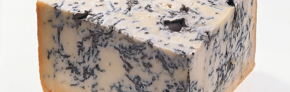 Gorgonzola Gorgonzola