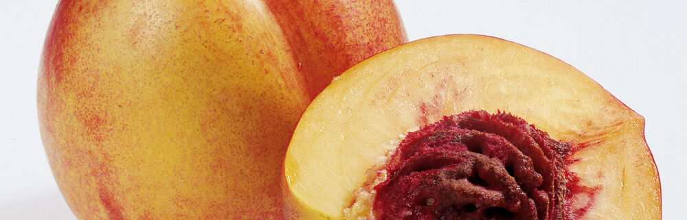 Nektarinen Nektarinen