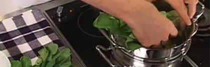 Gemüse einfach und richtig dämpfen Gemüse einfach und richtig dämpfen