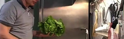 Kopfsalat richtig putzen und verarbeiten Kopfsalat richtig putzen und verarbeiten