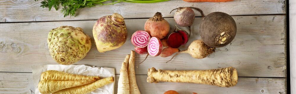 Wintergemüse Wintergemüse