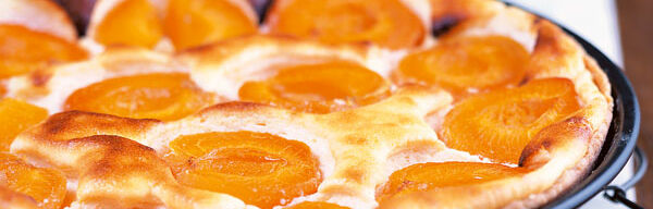 Aprikosen-Käsekuchen Aprikosen-Käsekuchen