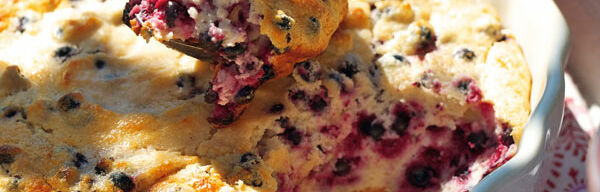 Quarkauflauf mit Holunderbeeren