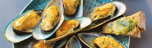 Grünschalenmuscheln mit Salsa verde Grünschalenmuscheln mit Salsa verde