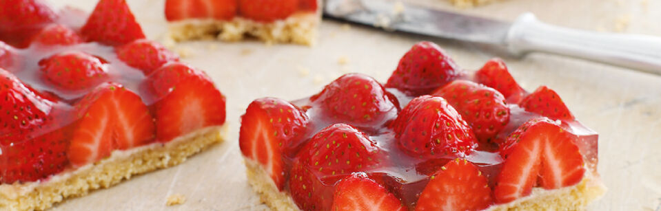 vegan backen vegan backen