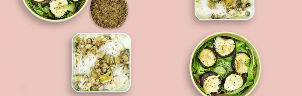 Ein Pilzlein steht im Walde Ein Pilzlein steht im Walde