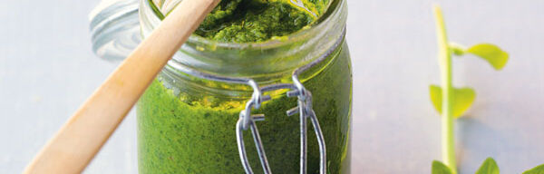 Basilikumpesto Basilikumpesto