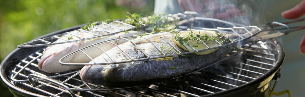 Grillen Unterseite Rezepte Fisch Grillen Unterseite Rezepte Fisch
