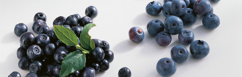 Heidelbeeren Heidelbeeren