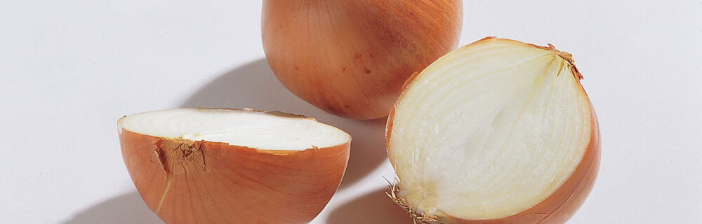 Zwiebeln Zwiebeln