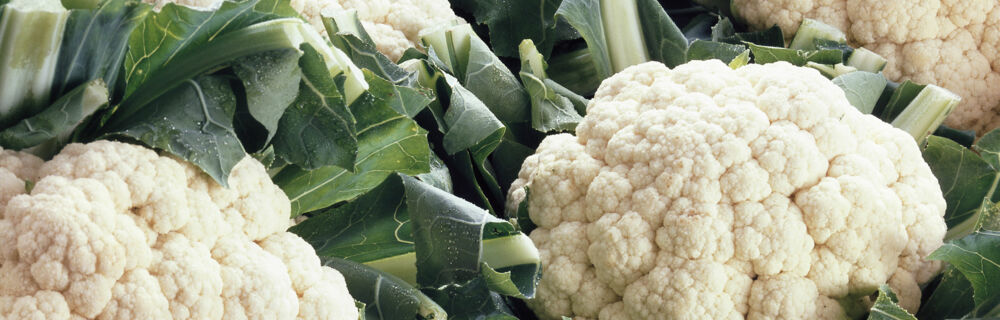 Blumenkohl Blumenkohl