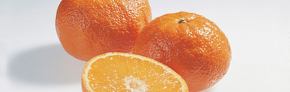 Mandarinen, Clementinen, Satsumas & Kumquats