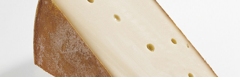 Appenzeller Appenzeller