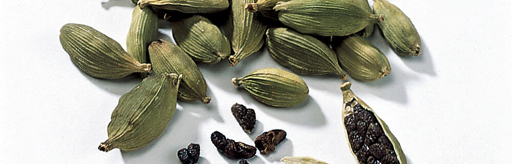 Kardamom Kardamom