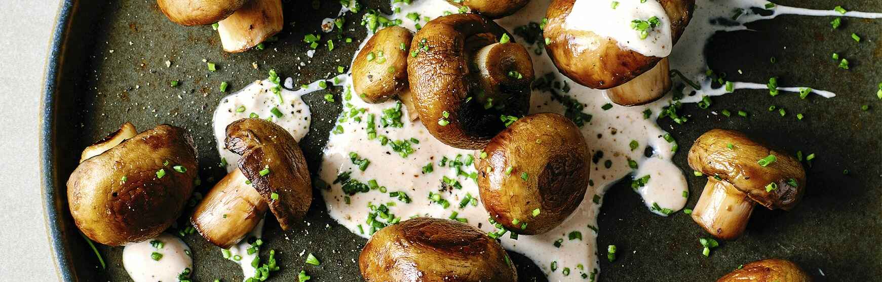 Champignons - Rezepte, Tipps &amp; Ideen | Küchengötter