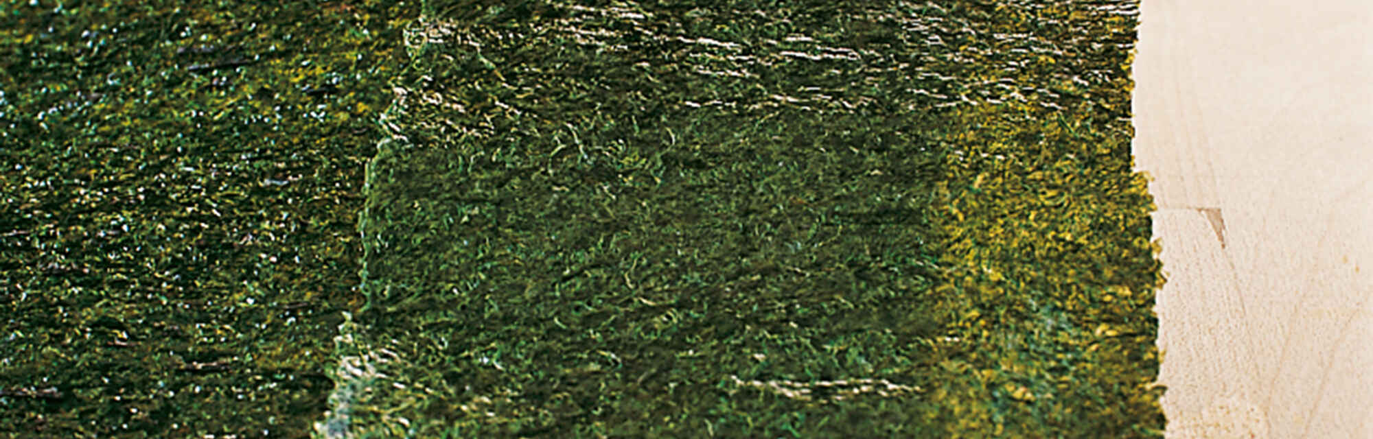 Nori-Blätter Herkunft und Verwendung | Küchengötter