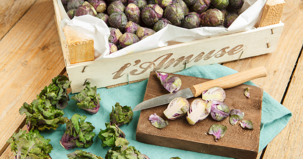 Flower Sprouts Rezept für gebratenen Grünkohl & Rosenkohl Küchengötter