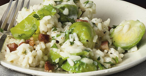 Winterliches Wildschwein Risotto - Rezepte Suchen Winterliches Wildschwein Risotto - Rezepte Suchen