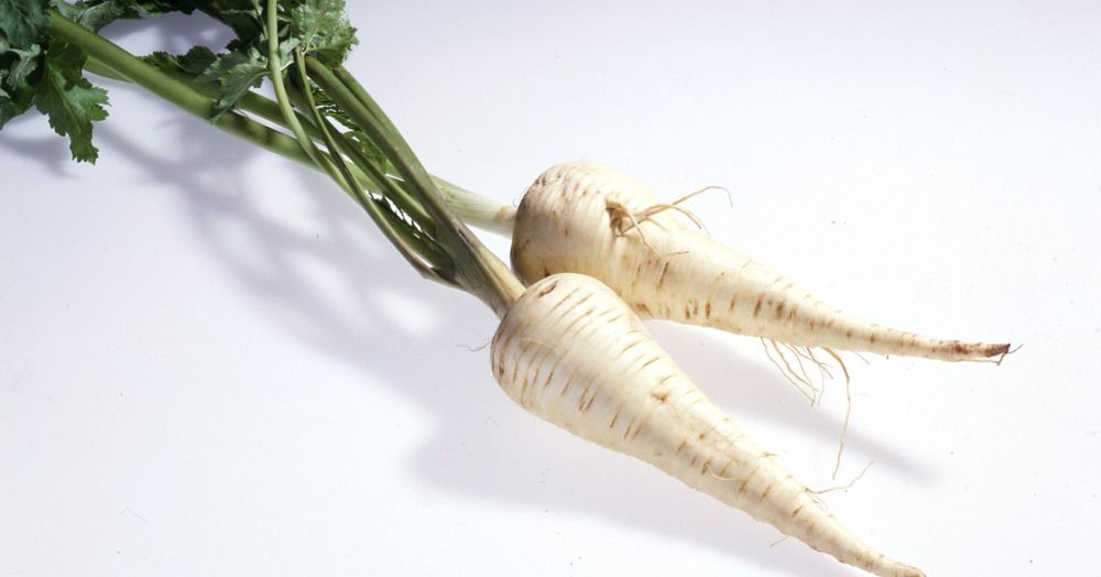 Pastinaken-Rezepte | Küchengötter Pastinaken-Rezepte | Küchengötter