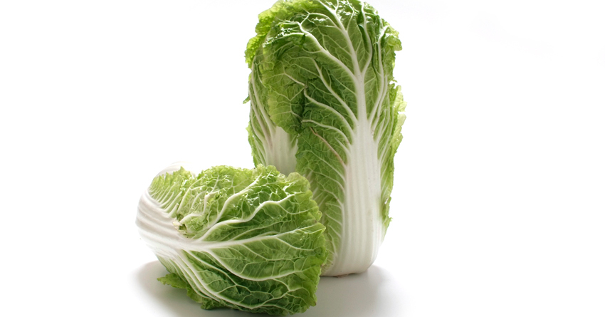 Chinakohl - Rezepte Suchen Chinakohl - Rezepte Suchen