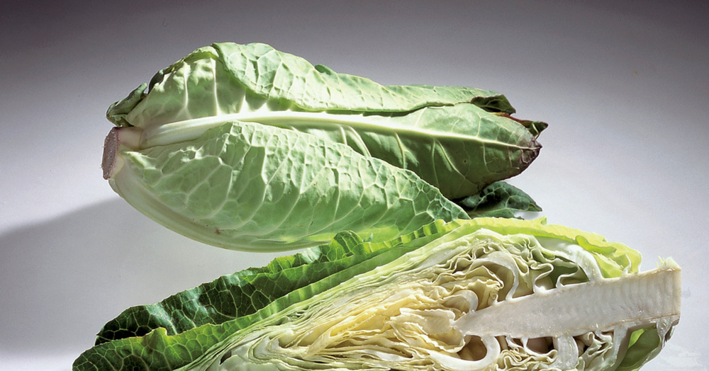Spitzkohl | Küchengötter