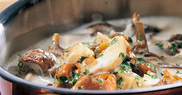 Pilzsauce Rezept | Küchengötter Pilzsauce Rezept | Küchengötter