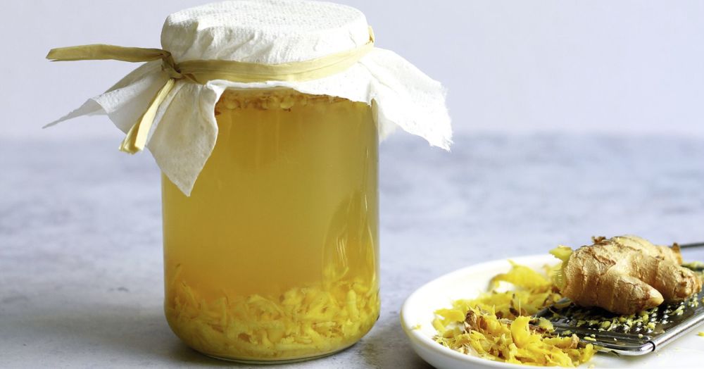 Ginger Bug Rezept Küchengötter