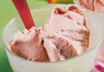 Rhabarbersorbet