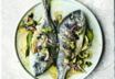Dorade mit Oliven-Avocado-Salsa Dorade mit Oliven-Avocado-Salsa
