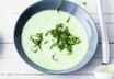Basilikum-Dickmilch-Suppe Basilikum-Dickmilch-Suppe