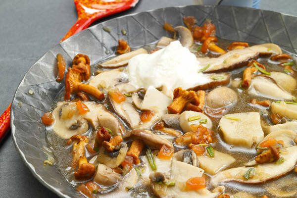 Burgunder Pilzsauce Aus Der Mikrowelle - Rezepte Suchen Burgunder Pilzsauce Aus Der Mikrowelle - Rezepte Suchen