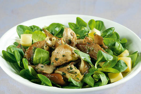 Feldsalat mit gebratenen Austernpilzen Rezept | Küchengötter Feldsalat mit gebratenen Austernpilzen Rezept | Küchengötter