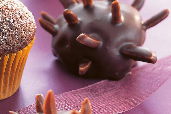 Schokoladen-Igel Rezept | Küchengötter