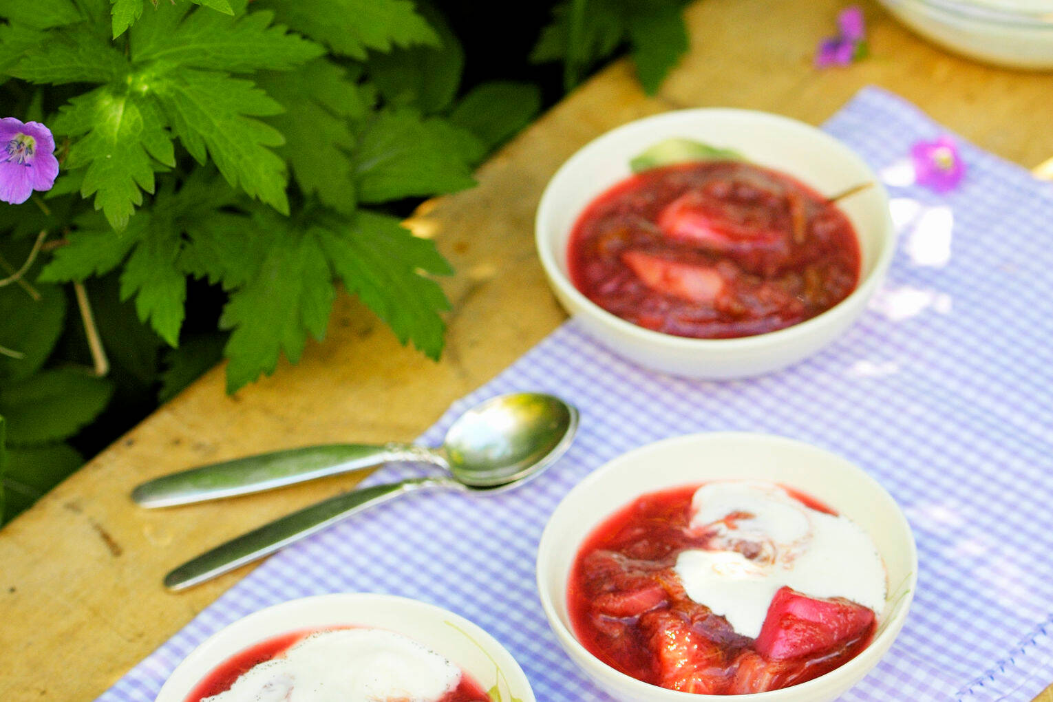 Rhabarberkompott mit Joghurt Rezept | Küchengötter Rhabarberkompott mit Joghurt Rezept | Küchengötter