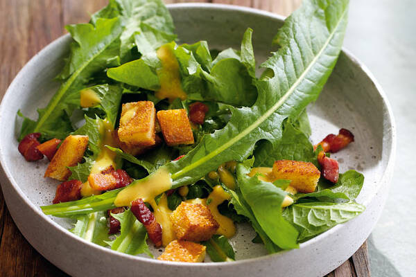 Löwenzahnsalat mit Speck und Brotwürfeln Rezept | Küchengötter Löwenzahnsalat mit Speck und Brotwürfeln Rezept | Küchengötter