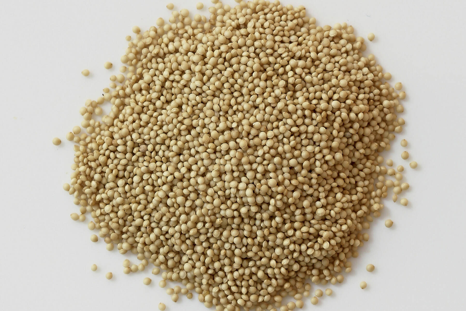 Amaranth LebensmittelWarenkunde Küchengötter