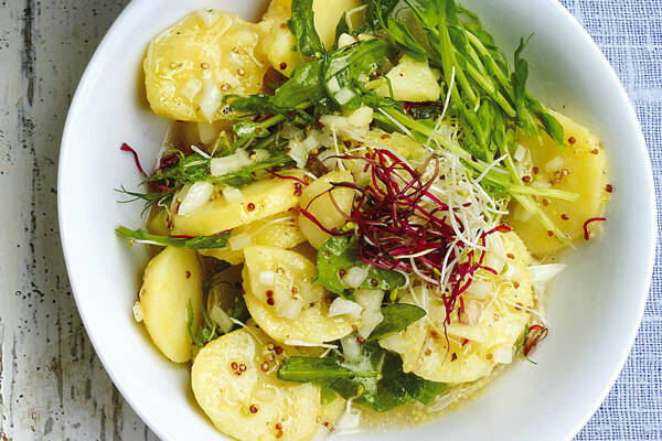 Grüner Kartoffelsalat mit Sprossen Rezept | Küchengötter