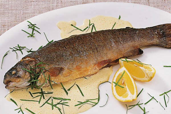 Gebratene Forelle mit Basilikum-Joghurt-Schaum Rezept | Küchengötter