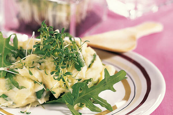 Grünes Kartoffelpüree Rezept | Küchengötter Grünes Kartoffelpüree Rezept | Küchengötter