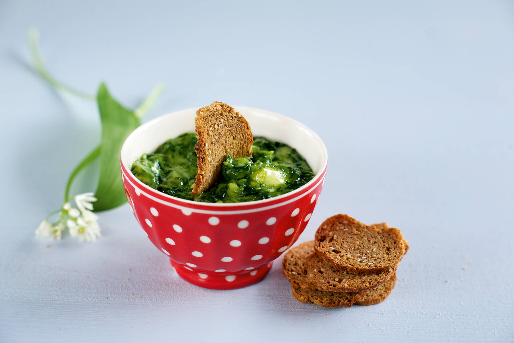 Bärlauch-Obatzter Rezept | Küchengötter Bärlauch-Obatzter Rezept | Küchengötter